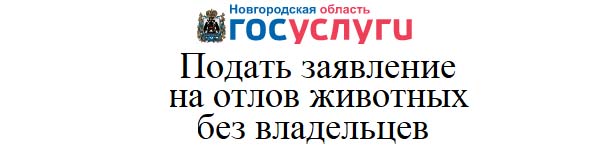 Подать заявление на отлов животных без владельцев.