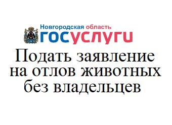 Подать заявление на отлов животных без владельцев.