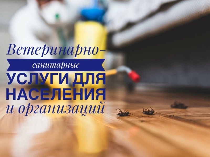Услуги ОБУ «Новгородская райветстанция».